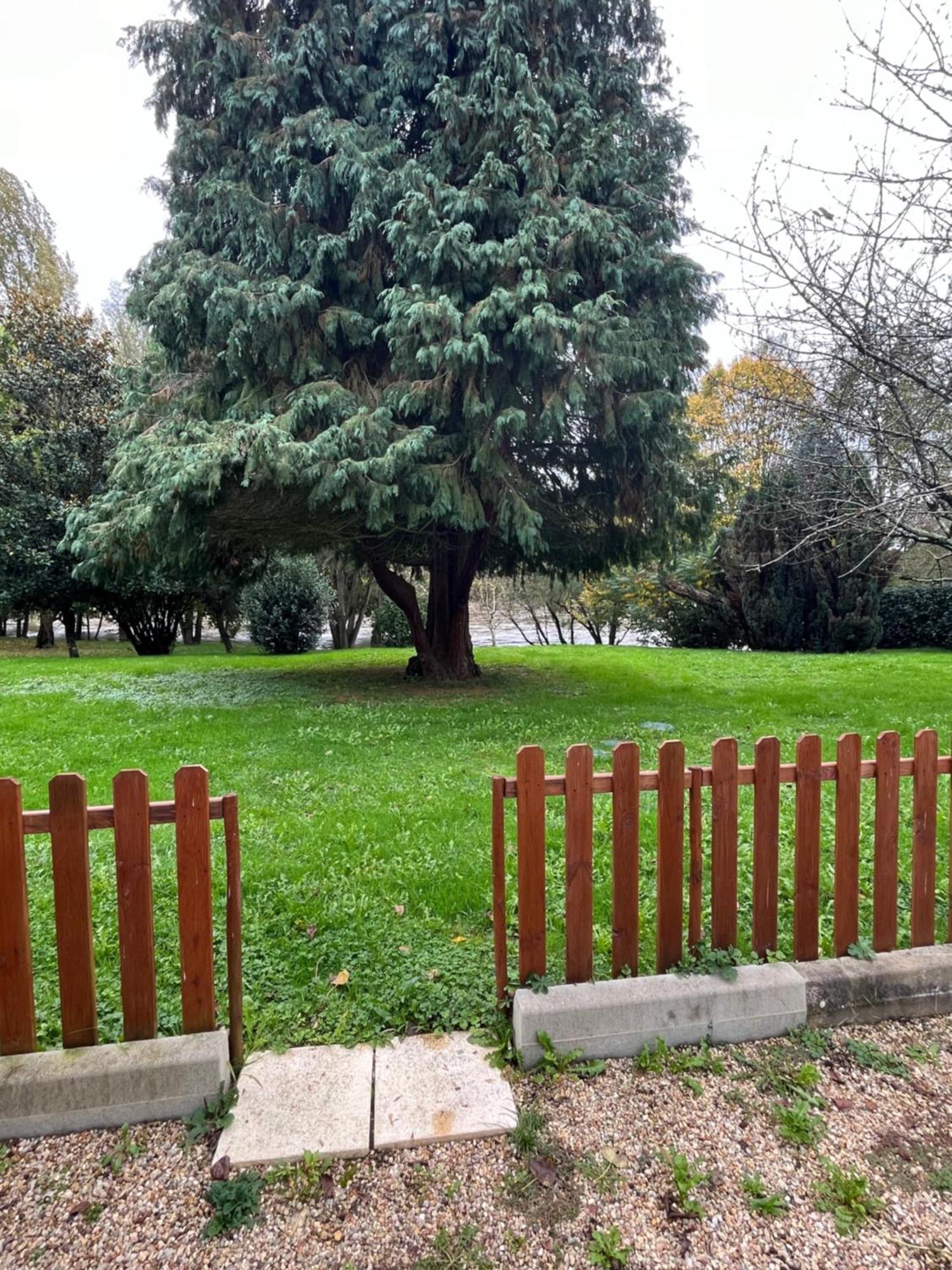 Bonneuil-Matours Logement Paisible En Bord De Vienne מראה חיצוני תמונה